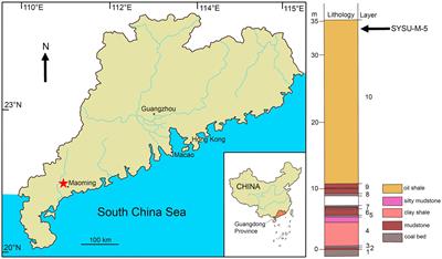 A new hypercarnivorous hyaenodont from the Eocene of South China